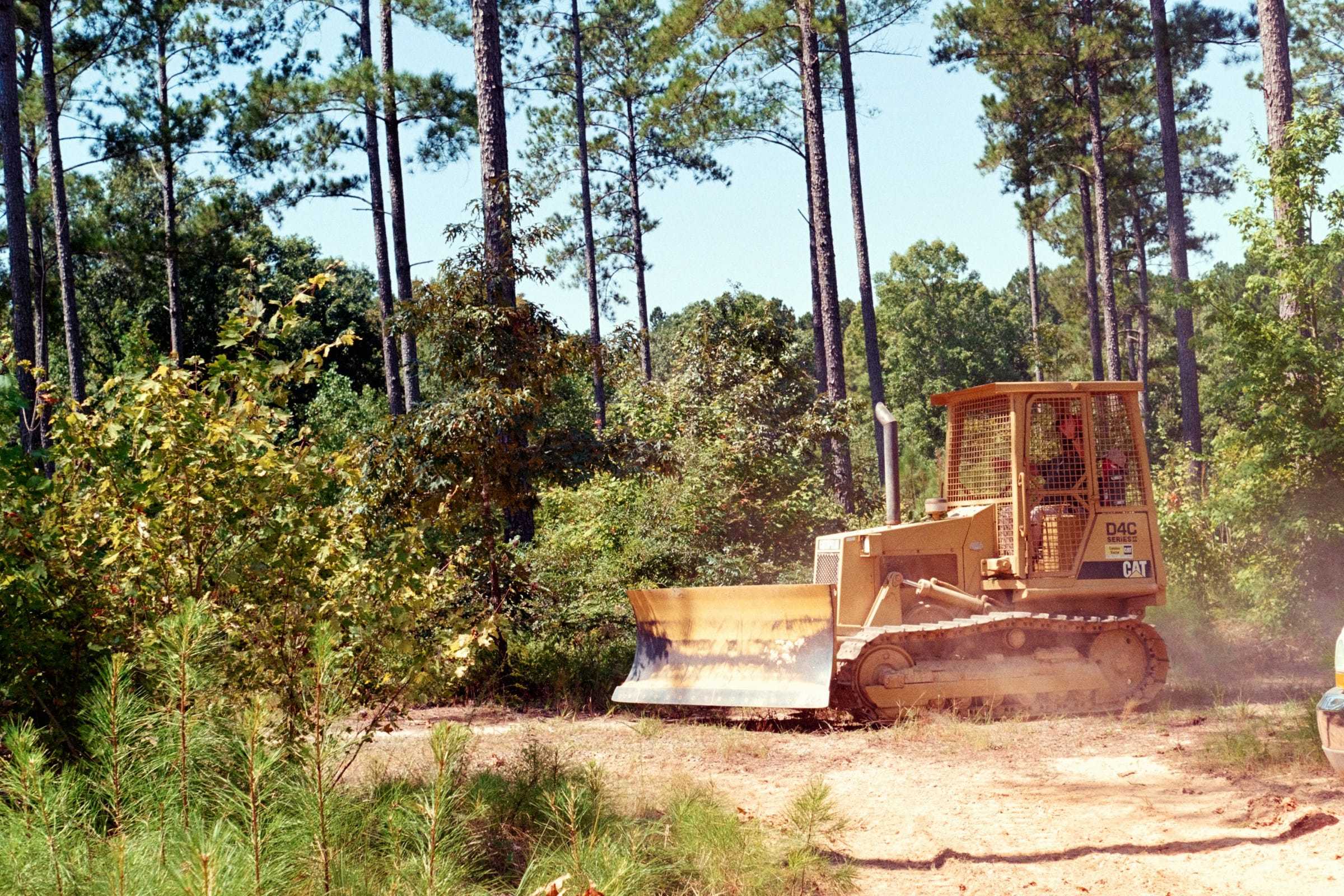 Bulldozer clearing brush on a wooded lot with tall pines